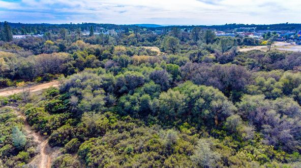 15 Coach Lane, Shingle Springs, CA 95682